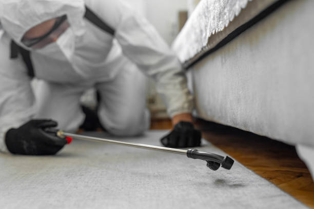 Professional Bed Bug Control technician working in Big Pine, CA